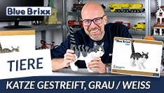 Youtube: Grau-weiß gestreifte Katze von BlueBrixx Pro @ BlueBrixx - mit Auflösung der Umfrage!