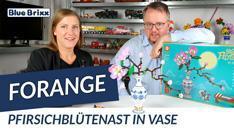 Youtube: Pfirsichblütenast in einer Vase von Forange @ BlueBrixx