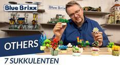 Youtube: Sieben Sukkulenten in vier Varianten - 28 kleine Pflanzensets bei BlueBrixx!