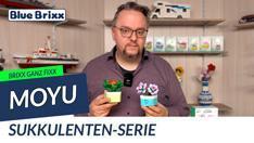 Youtube: Brixx ganz fixx: Sukkulenten-Sets von MoYu @ BlueBrixx