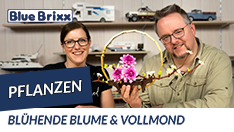 YouTube: Blühende Blume und Vollmond