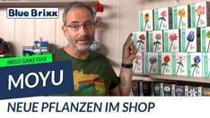 YouTube: Brixx ganz fixx: Blumen von MoYu