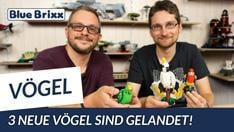 YouTube: Sittich, Kakadu & Rosellasittich von BlueBrixx - die neuen Vögel sind gelandet!