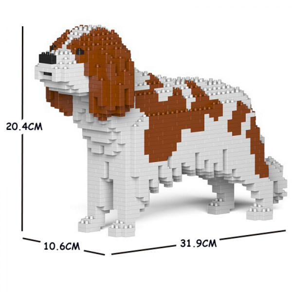 Cavalier King Charles Spaniel - Blenheim