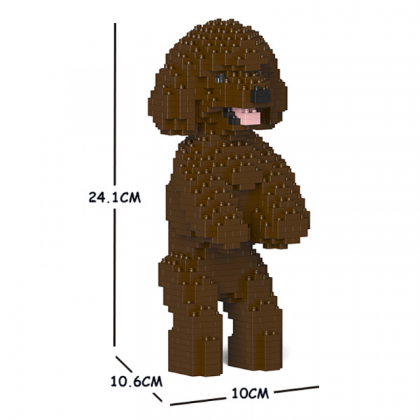 Toy Poodle standing + brown