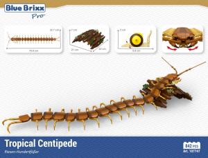 Centipede