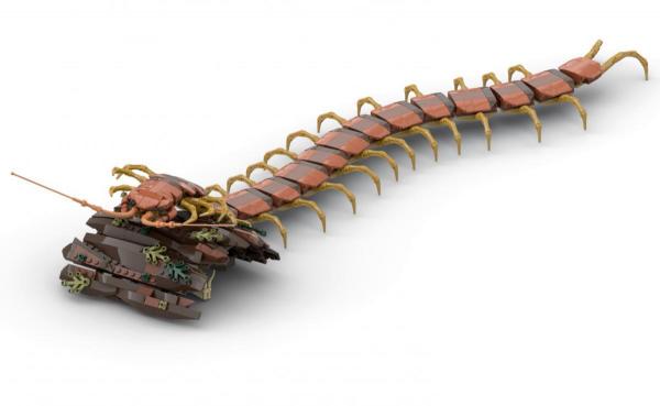 Centipede