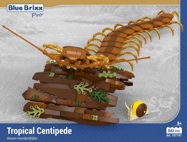 Centipede