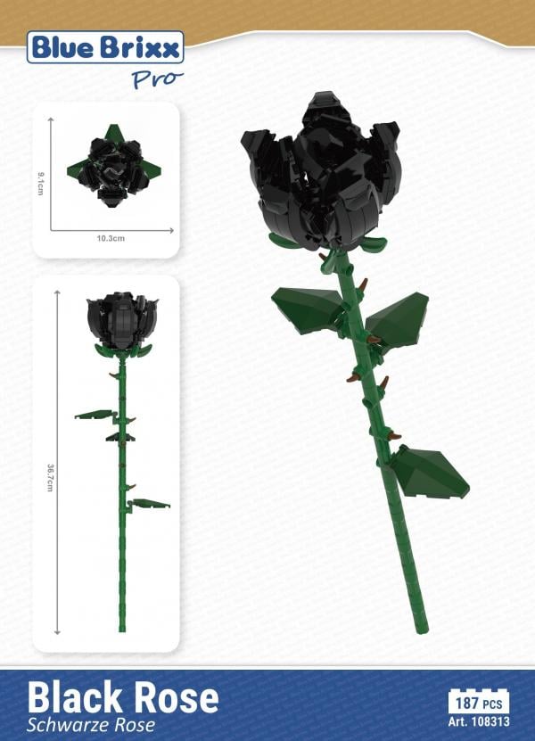 Schwarze Rose