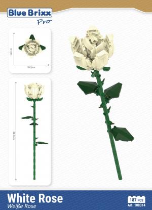 White Rose 