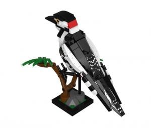 Woodpecker